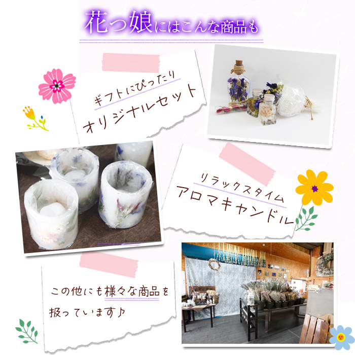 りんどう ドライブーケ ／ 贈り物 リンドウ 花束 花っ娘