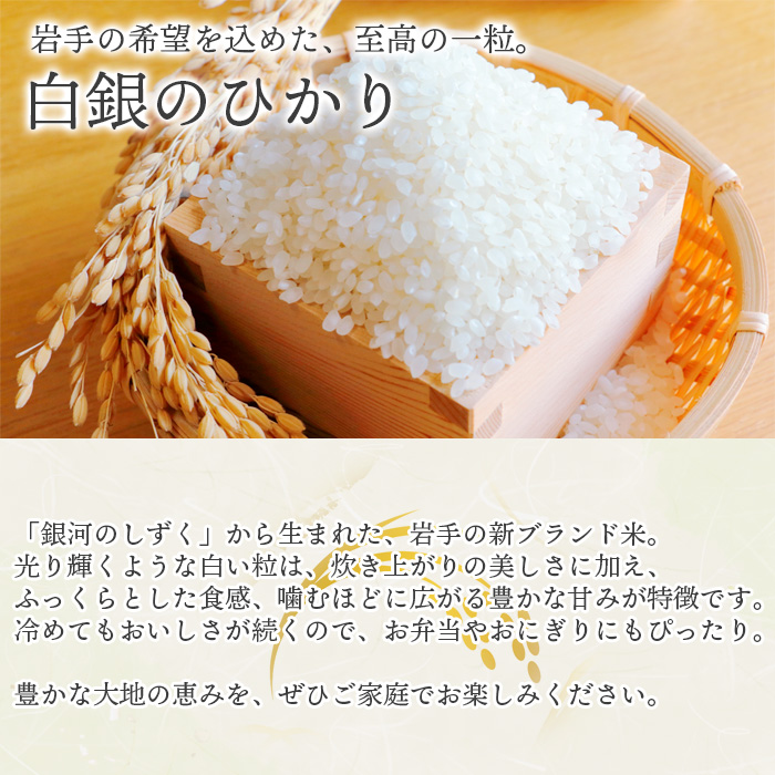 【令和7年産】 白銀のひかり （岩手141号）  玄米 5kg ／ かきのうえ こめ 米 コメ お米 おこめ ご飯 ごはん げんまい