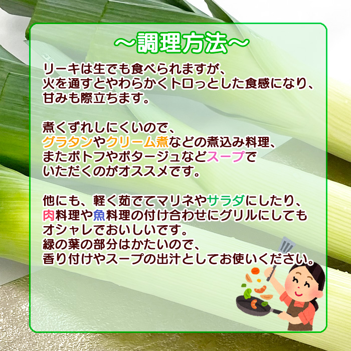 岩手県産 リーキ 2kg 【みのり風土】 ／ 西洋ねぎ ポロネギ ポワロ ポロ ポアロ リーク
