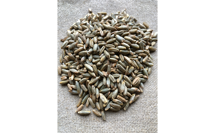 薪窯パン 有機ライ麦 2個 【 農家パン VERUM 】 ／ パン ぱん ブレッド ベーカリー 古代小麦 薪窯 薪窯焼き 薪窯焼 石窯パン 石窯 卵不使用 乳製品不使用 乳不使用