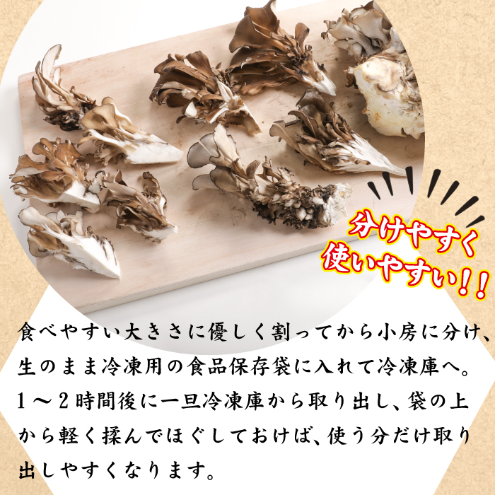 生まいたけ大株 約800g【安比まいたけ】 ／ 舞茸 まいたけ きのこ キノコ 茸