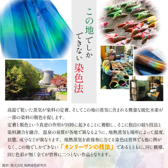 【八幡平GEOCOLOR】 八幡平地熱蒸気染色 ワークショップ 体験チケット 2名様分 ／ 地熱染め 体験教室 手絞り 手染め 染物 染め物 染色 体験型 体験 チケット 染色体験 染物体験 染物教室 手作り 手づくり ジオカラー