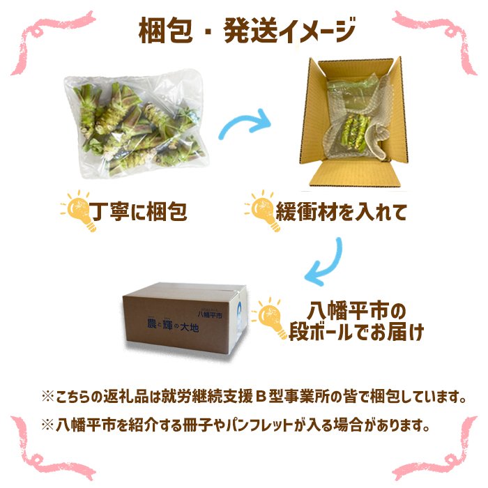 生わさび 300g 【安比清流山葵園】 ／ 山葵 ワサビ 薬味 産地直送 新鮮