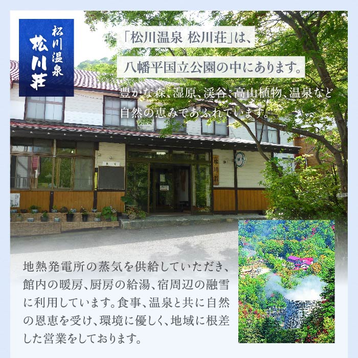 秘湯 源泉かけ流し 【松川温泉 松川荘】 1泊2食付 2名様 和室A ／ 宿泊券 旅行 温泉 露天風呂 ペア