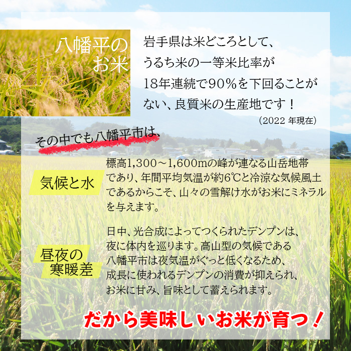 【令和7年産】 いわてっこ 精米 10kg×1袋 ／ せの畑 こめ 米 コメ お米 おこめ ご飯 ごはん 白米 白飯