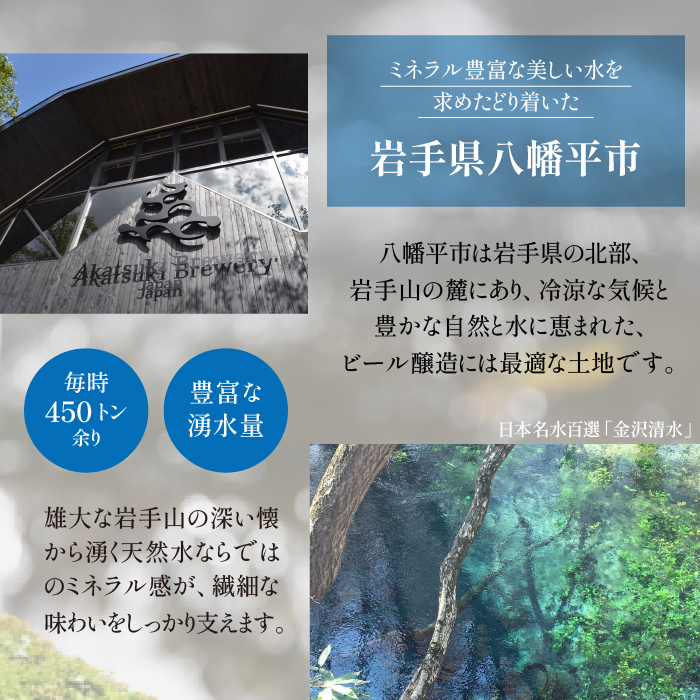 ドラゴンアイ「マグマ」12本セット 12ヶ月定期便 ／ 暁ブルワリー オーガニックビール クラフトビール 地ビール