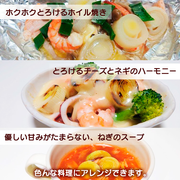 岩手県産 リーキ 2kg 【みのり風土】 ／ 西洋ねぎ ポロネギ ポワロ ポロ ポアロ リーク