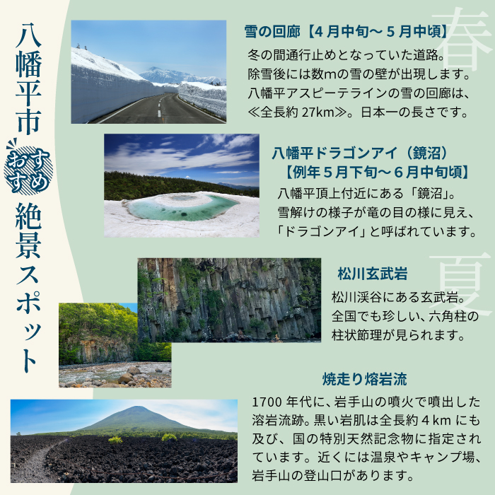 八幡平市共通宿泊補助券（5000円相当） ／ 選べる 宿泊 八幡平市