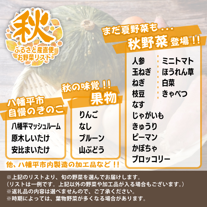 八幡平のふるさと産直箱（大） 隔月 計3回  【あすぴーて】 ／ 野菜 採れたて 新鮮 おまかせ 詰合せ 詰め合わせ 野菜の詰合せ セット 産直 お取り寄せ お取寄せ 取り寄せ