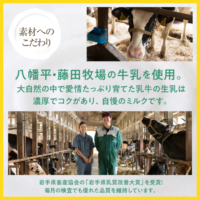 定番ジェラート定期便 12個入り×3回【アイス工房Nollegretto】