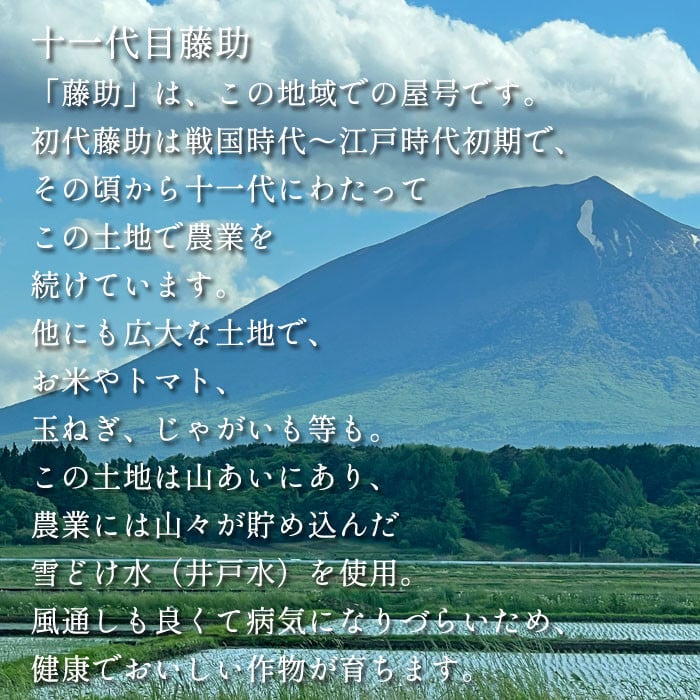 【令和7年産】 岩手141号 （ 白銀のひかり ） 精米 10kg ／ 十一代目藤助 こめ 米 コメ お米 おこめ