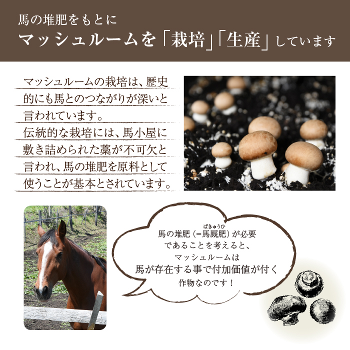 馬活堆肥（マッシュルーム堆肥）22L×1袋 ／ ジオファーム ガーデニング 畑 庭木 家庭菜園