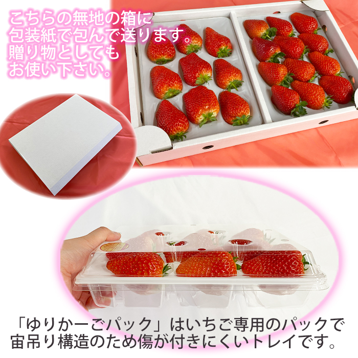 八幡平市「彩花園」よりお届け！！ 大粒あま～い完熟いちご ／ 苺 イチゴ ストロベリー お取り寄せ 産地直送