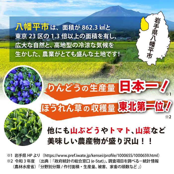 【新】八幡平のふるさと産直箱（小） ／ あすぴーて おまかせ 野菜 新鮮 野菜詰合せ 季節の野菜 旬の野菜 産地直送