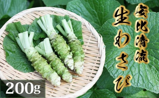 生わさび 200g 【安比清流山葵園】 ／ わさび 山葵 ワサビ 生山葵 生ワサビ 新鮮 薬味 産地直送 国産 岩手県産