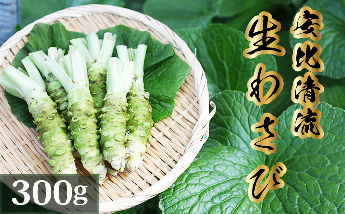 生わさび 300g 【安比清流山葵園】 ／ わさび 山葵 ワサビ 生山葵 生ワサビ 新鮮 薬味 産地直送 国産 岩手県産