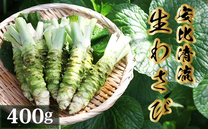 生わさび 400g 【安比清流山葵園】 ／ わさび 山葵 ワサビ 生山葵 生ワサビ 新鮮 薬味 産地直送 国産 岩手県産
