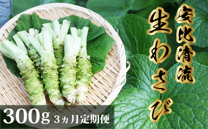 生わさび 300g定期便3ヶ月 【安比清流山葵園】 ／ わさび 山葵 ワサビ 生山葵 生ワサビ 新鮮 薬味 産地直送 国産 岩手県産