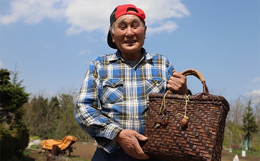 【木地師手作り】 純国産 くるみかごバッグ 【松尾 清常】／ くるみかご バッグ かごバッグ 篭バッグ 篭バック バック 胡桃篭 クルミカゴ 網代編み