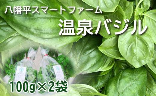 【岩手県産】 温泉バジル 100g×2袋 ／ 新鮮 生バジル バジル 薬味 ハーブ 産地直送 スマートファーム