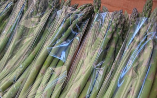 甘い！ 朝採れ グリーンアスパラガス 1.2kg（200g×6束） 【田村和大】 ／ アスパラガス グリーンアスパラガス グリーンアスパラ アスパラ あすぱら あすぱらがす 新鮮 採れたて