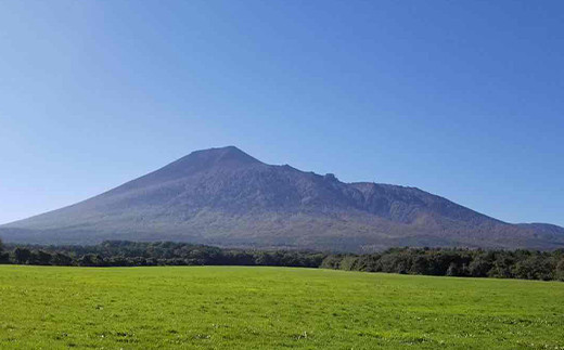 【八幡平産】 りんご 蜂蜜 270g ／ はちみつ ハチミツ ハチ蜜 ハニー 林檎 りんご蜜 リンゴ アップル 国産 岩手県産 高橋養蜂