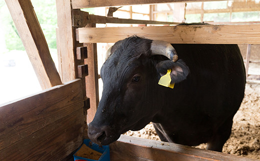 八幡平牛 ロース すきやき用 しゃぶしゃぶ用 300g 【肉の横沢】 ／  黒毛和牛 牛肉 肉 国産牛 国産肉 ビーフ