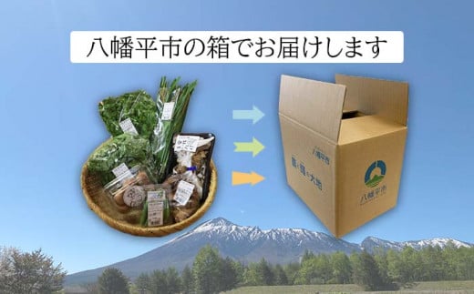 【旬野菜お届け】八幡平のふるさと産直箱（小）【隔月／計6回】 【あすぴーて】 ／ 野菜 採れたて 新鮮 おまかせ 詰合せ 詰め合わせ 野菜の詰合せ セット 産直 お取り寄せ お取寄せ 取り寄せ
