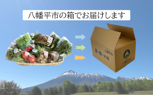 【新】八幡平のふるさと産直箱（大）【隔月／計6回】 ／ あすぴーて おまかせ 野菜 新鮮 野菜詰合せ 季節の野菜 旬の野菜 産地直送