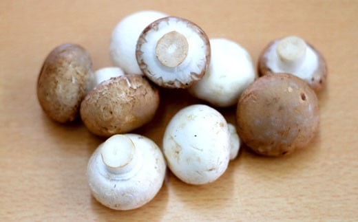 岩手県産 八幡平マッシュルーム1kg 色はおまかせ 3ヶ月定期便 ／ ジオファーム きのこ 茸 キノコ 新鮮 マッシュルーム まっしゅるーむ 生 生食 生でも食べられる