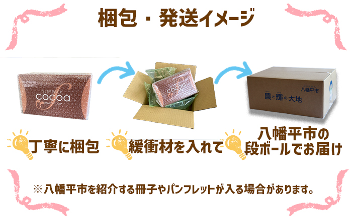 スリムパックココア 【天真堂】 ／ ダイエット 美容 ダイエット食品 ダイエットサポート 飲み物 ドリンク 飲物 ダイエットサポートドリンク