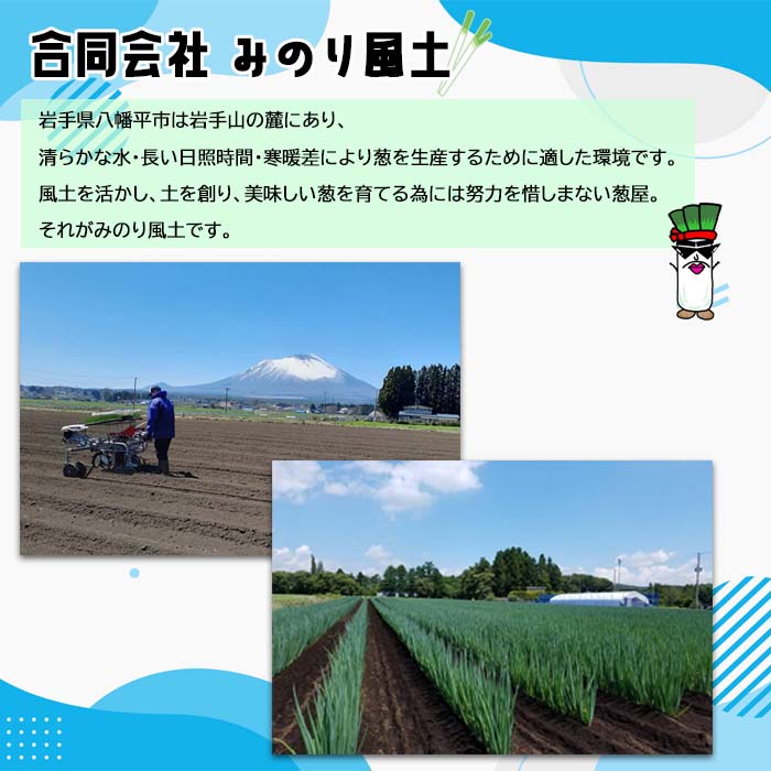 岩手県産 リーキ 2kg 【みのり風土】 ／ 西洋ねぎ ポロネギ ポワロ ポロ ポアロ リーク