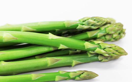 甘い！朝採れ グリーンアスパラガス 600g （200g×3束）【田村和大】 ／ アスパラガス グリーンアスパラガス グリーンアスパラ アスパラ あすぱら あすぱらがす 新鮮 採れたて