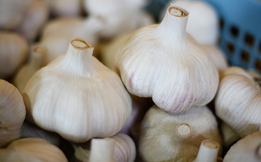 八幡平バイオレットで作った にんにく味噌 Flavor 2個 ／ニンニク みそ おかず すばる