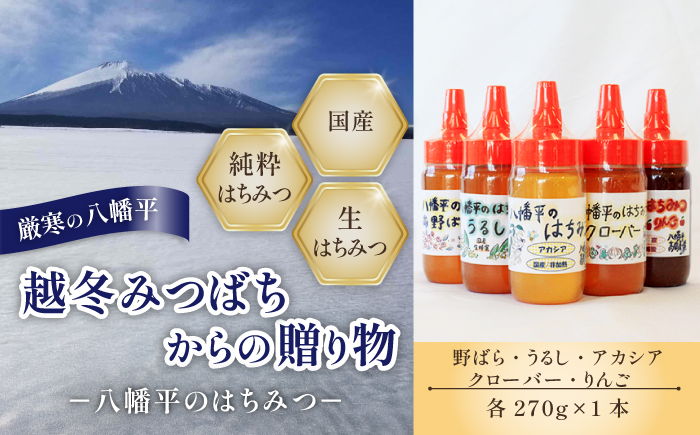 【 国産純粋はちみつ 】 蜂蜜 5種 セット アカシア りんご 野ばら うるし クローバー 270g × 各1本 ／ あかしあ リンゴ 野バラ 漆 シロツメクサ はちみつ ハチミツ ハチ蜜 ハニー 国産 【高橋養蜂】