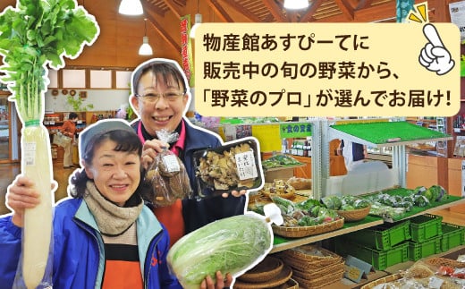 【新】八幡平のふるさと産直箱（小） ／ あすぴーて おまかせ 野菜 新鮮 野菜詰合せ 季節の野菜 旬の野菜 産地直送