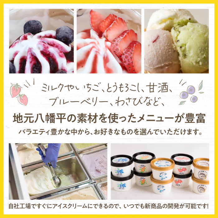 定番ジェラートセット 12個入り【アイス工房Nollegretto】 ／ アイス アイスクリーム スイーツ デザート カップアイス ジェラート カップジェラート