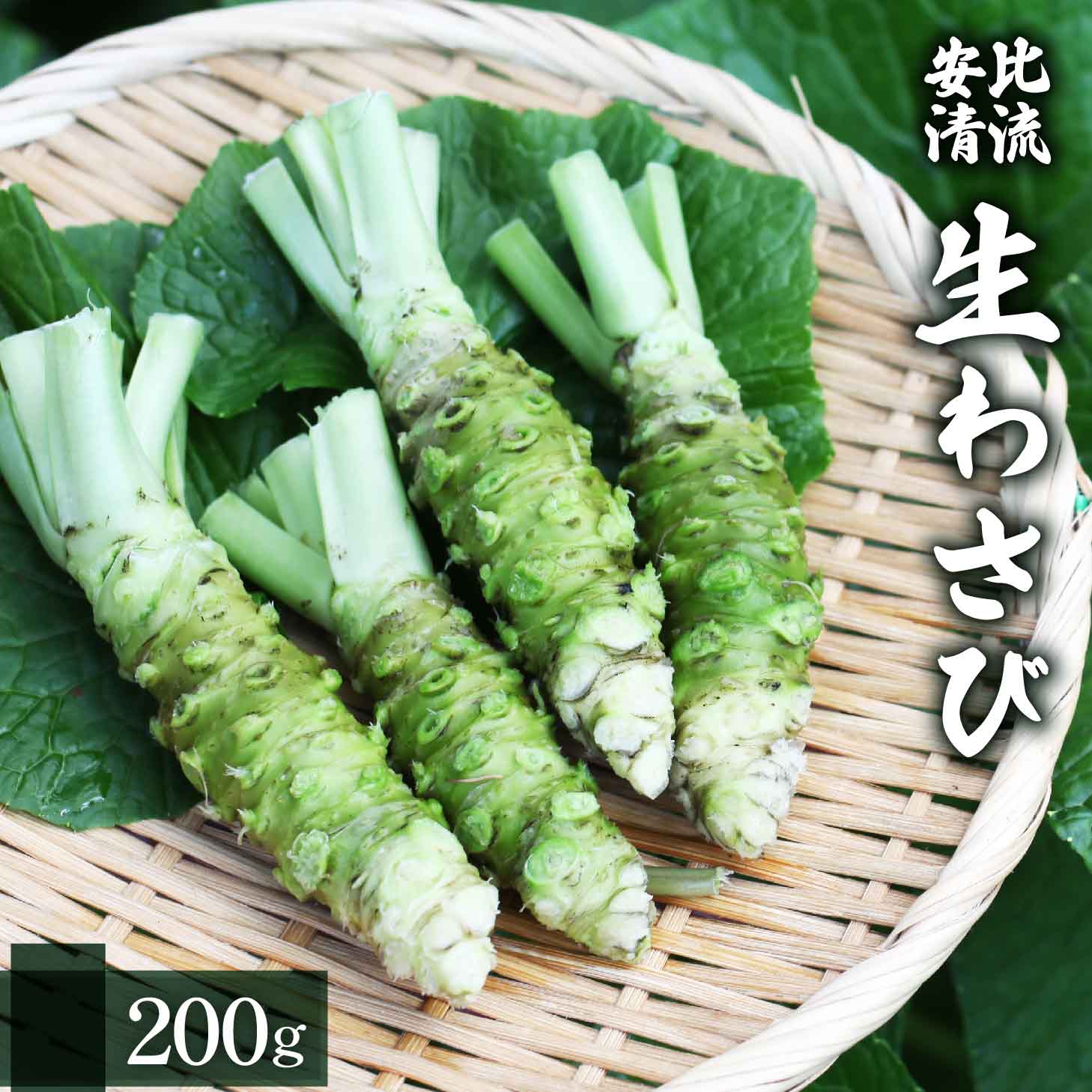 生わさび 200g 【安比清流山葵園】 ／ 山葵 ワサビ 薬味 産地直送 新鮮