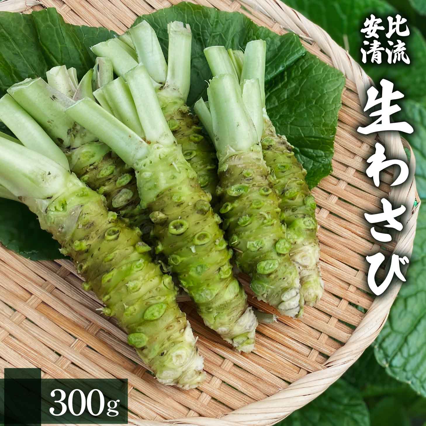 生わさび 300g 【安比清流山葵園】 ／ 山葵 ワサビ 薬味 産地直送 新鮮