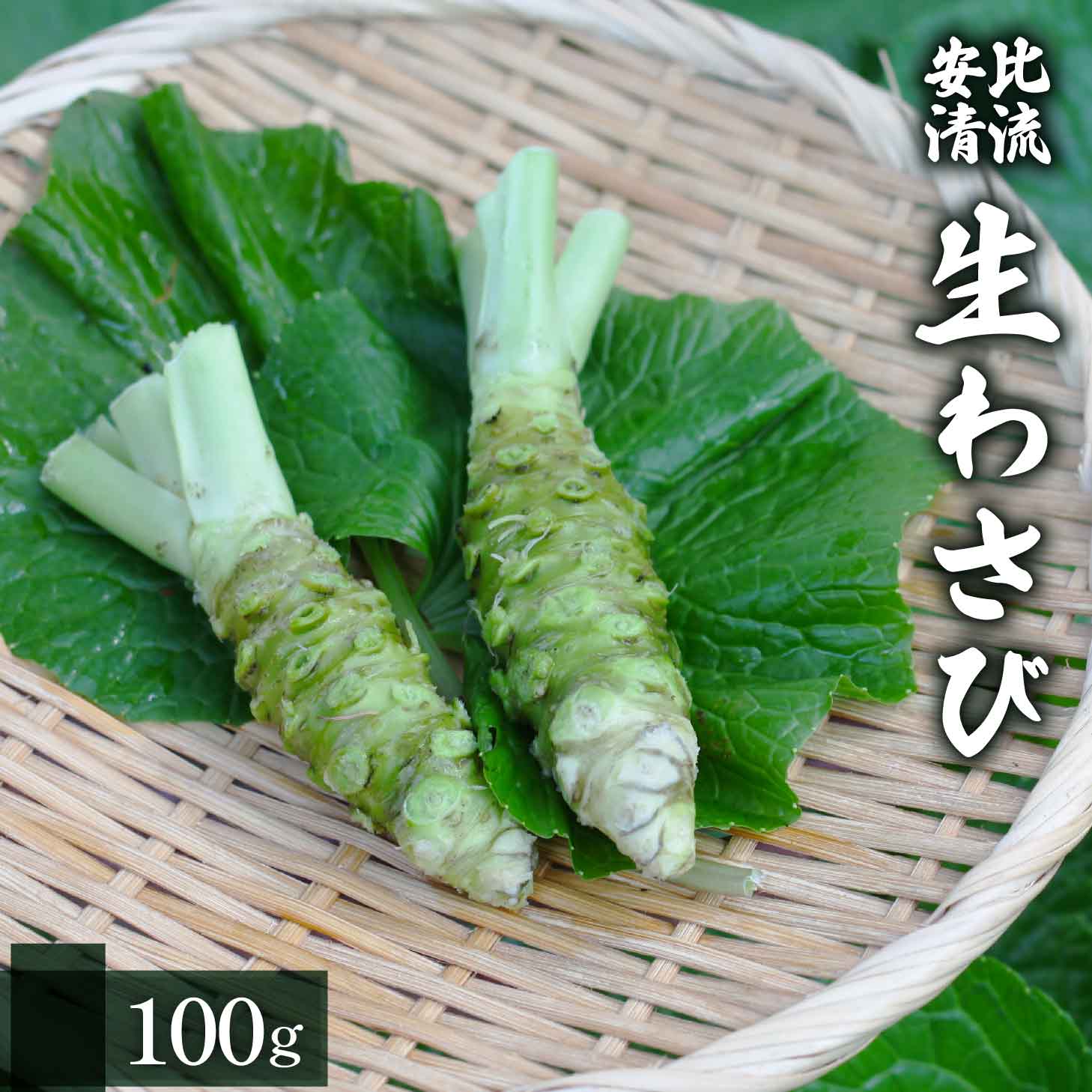 生わさび 100g 【安比清流山葵園】 ／ 山葵 ワサビ 薬味 産地直送 新鮮
