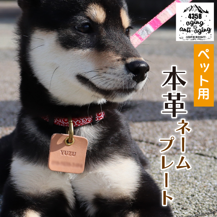 本革 ペット用ネームプレート【ナチュラル】 ／ 犬 猫 ペット 迷子札 4358