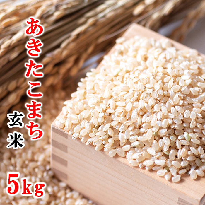 【令和7年産】 あきたこまち 玄米 5kg ／ 十一代目藤助 こめ 米 コメ お米 おこめ