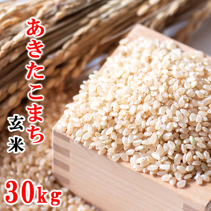 【令和7年産】 あきたこまち 玄米 30kg ／ 十一代目藤助 こめ 米 コメ お米 おこめ