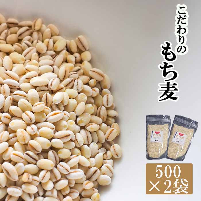 岩手県産 もち麦 はねうまもち 1kg （500g×2袋） ／ 十一代目藤助 雑穀 産地直送 農家直送