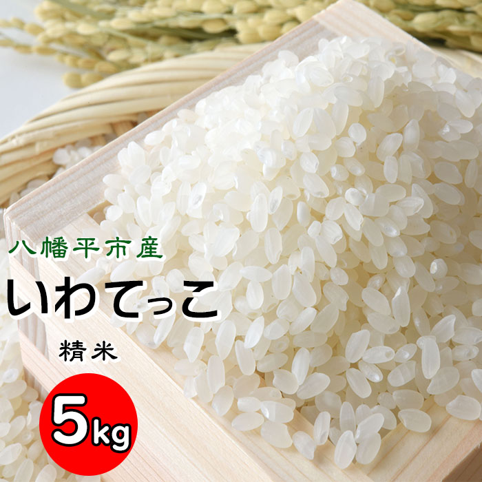 【令和7年産】 いわてっこ 精米 5kg×1袋 ／ せの畑 こめ 米 コメ お米 おこめ ご飯 ごはん 白米 白飯