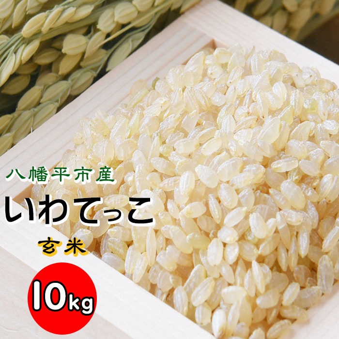 【令和7年産】 いわてっこ 玄米 10kg×1袋 ／ せの畑 こめ 米 コメ お米 おこめ ご飯 ごはん げんまい