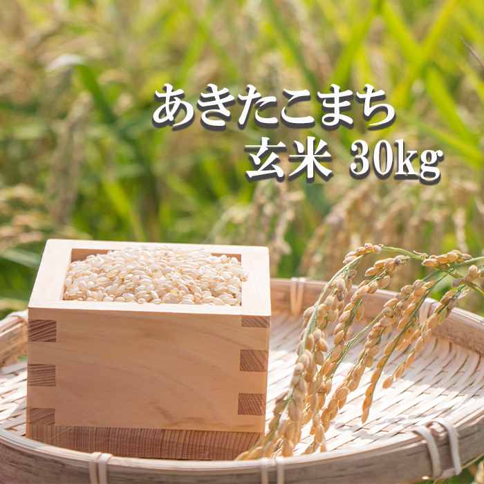 【令和7年産】 あきたこまち 玄米 30kg （10kg×3袋） ／ かきのうえ こめ 米 コメ お米 おこめ ご飯 ごはん げんまい