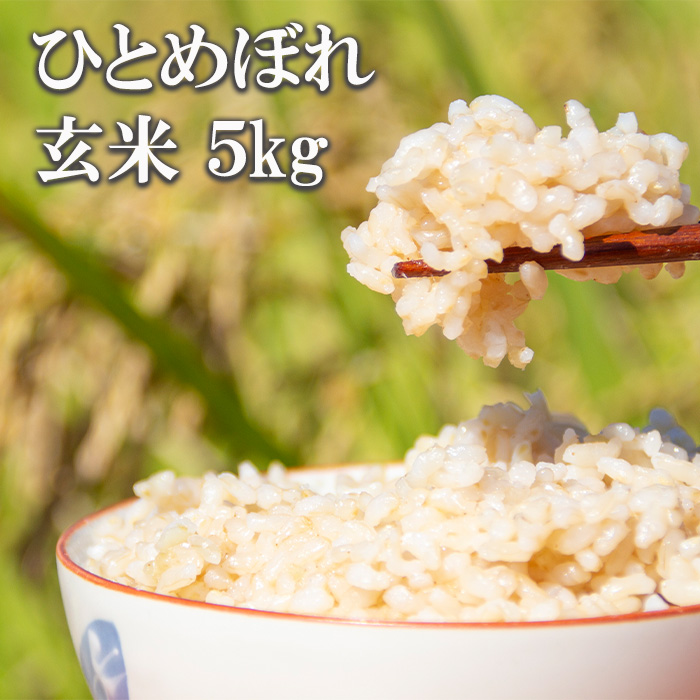 【令和7年産】 ひとめぼれ 玄米 5kg ／ かきのうえ こめ 米 コメ お米 おこめ ご飯 ごはん げんまい