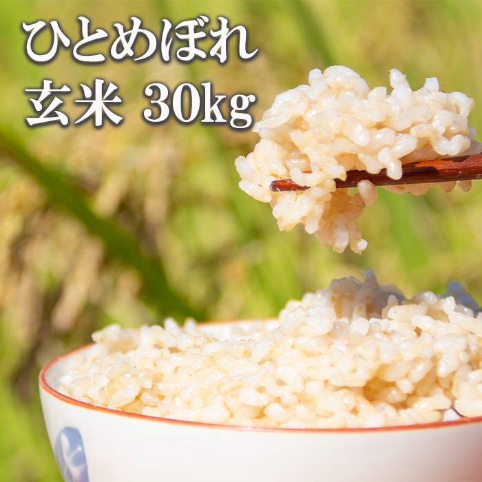 【令和7年産】 ひとめぼれ 玄米 30kg （10kg×3袋） ／ かきのうえ こめ 米 コメ お米 おこめ ご飯 ごはん げんまい