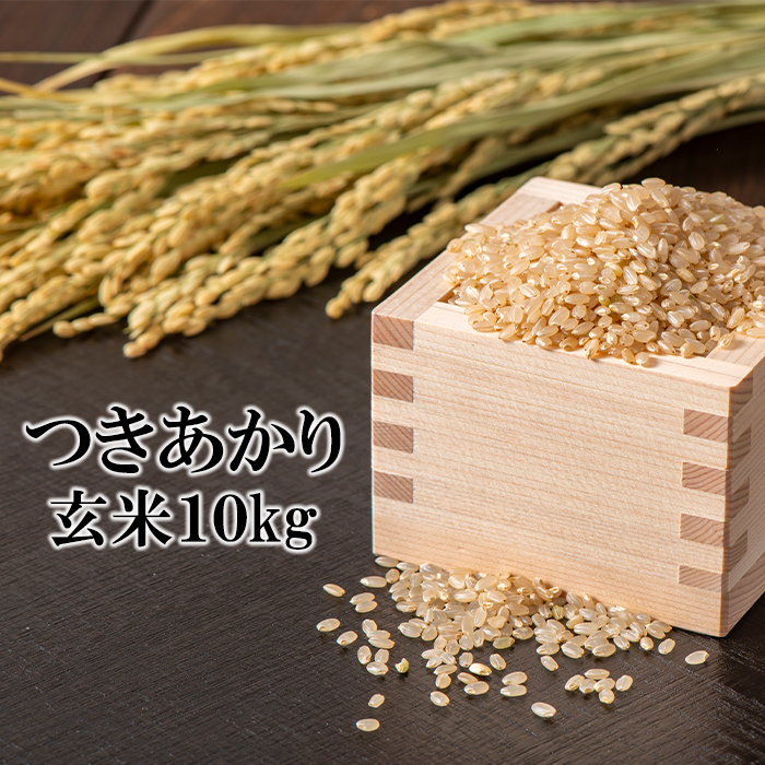 【令和7年産】 つきあかり 玄米 10kg ／ かきのうえ こめ 米 コメ お米 おこめ ご飯 ごはん げんまい